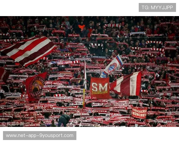 球迷行为研究：噪音与助威对比赛结果的影响